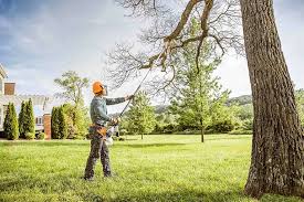 Reliable Aurora, TX Tree Services Solutions